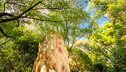 推翻“沉默受体”认知 炎症靶向药有了